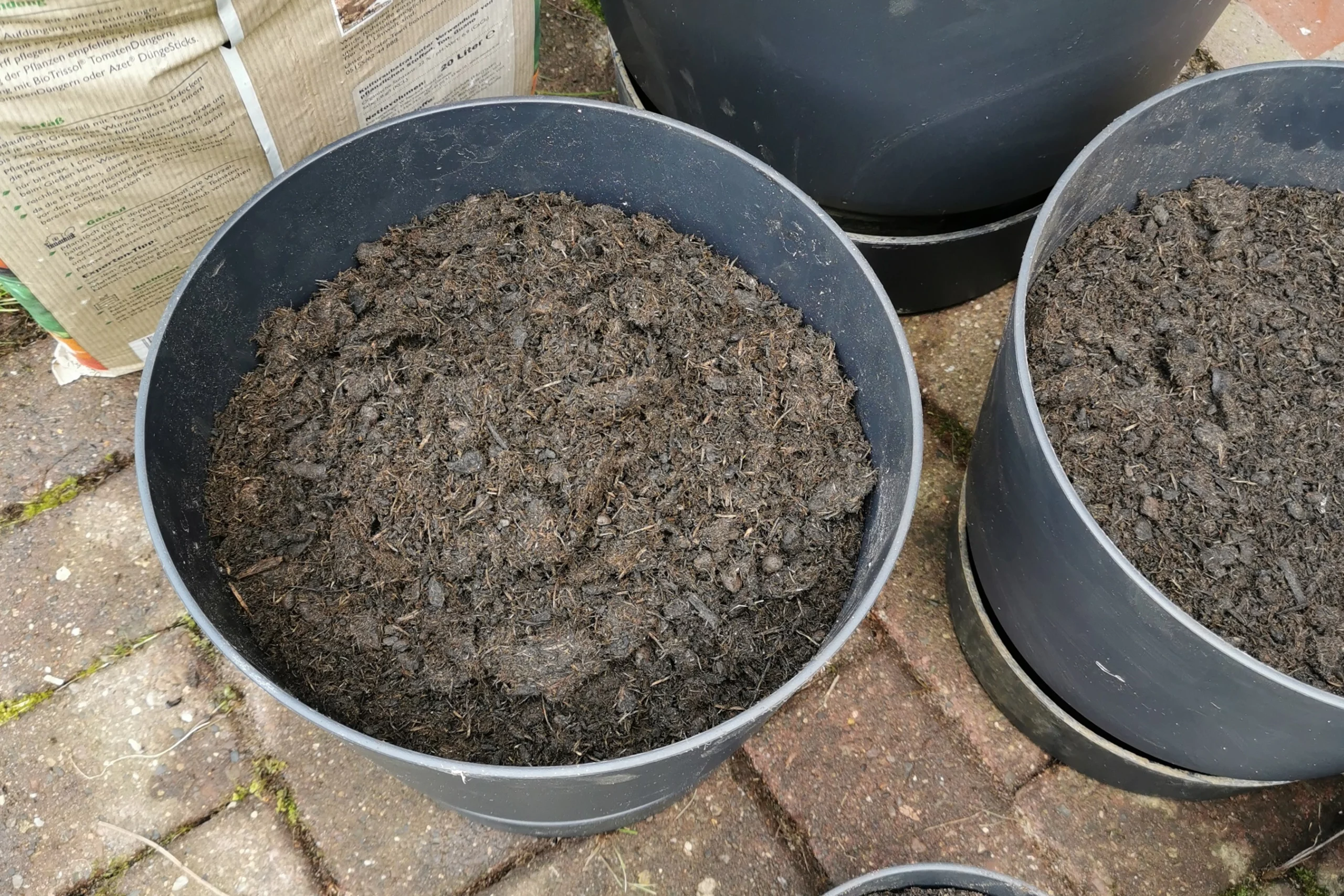 Töpfe neu bepflanzen: Wie Dir ein frischer Start für Deine Gemüsepflanzen und Saaten gelingt