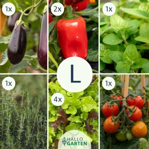 Pflanzen-Set Grillzeit - Bild 3