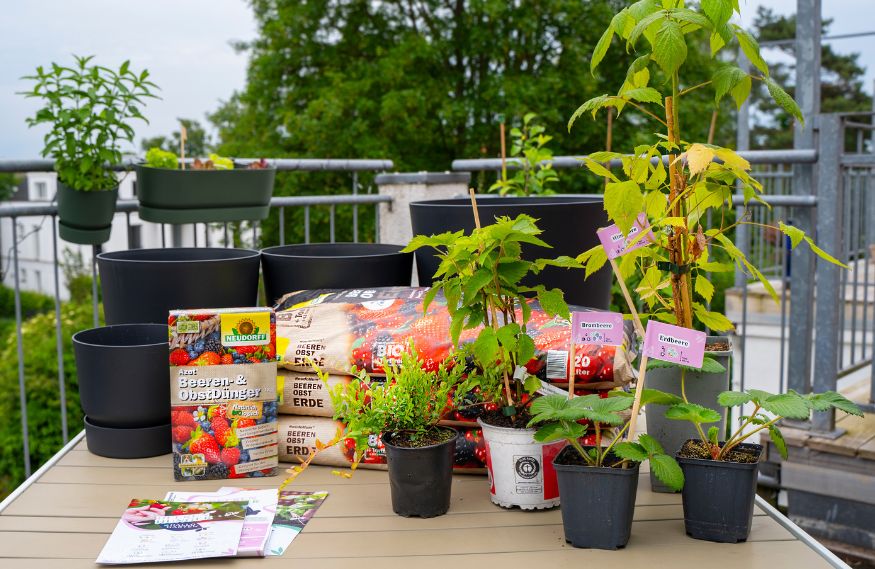 Pflanz-Sets und Produkte