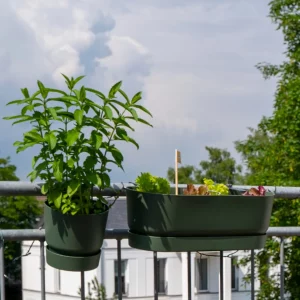 Elho greenville Balkonkasten 52 cm - Bild 3