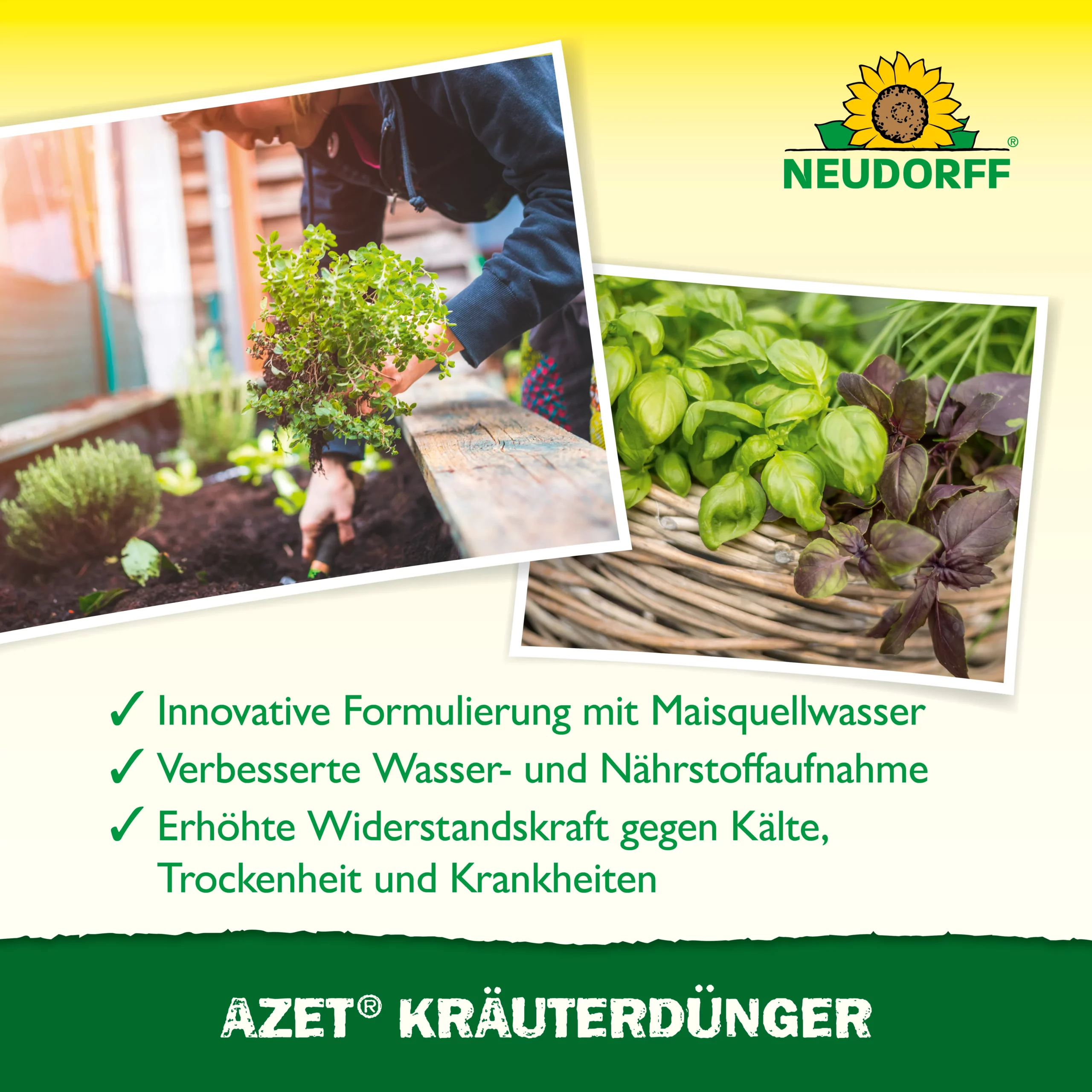 Neudorff BioTrissol KräuterDünger - Bild 5