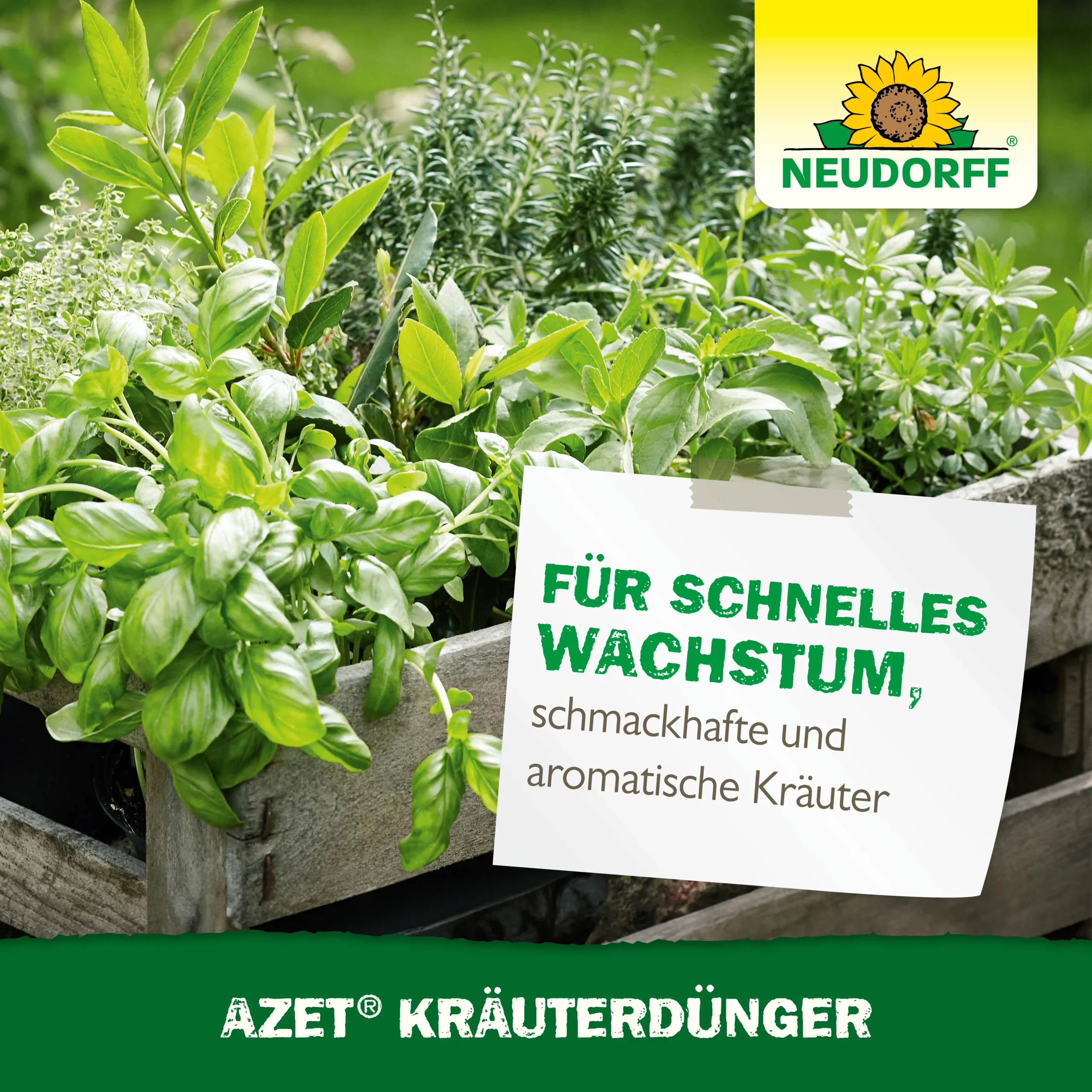 Neudorff BioTrissol KräuterDünger - Bild 2
