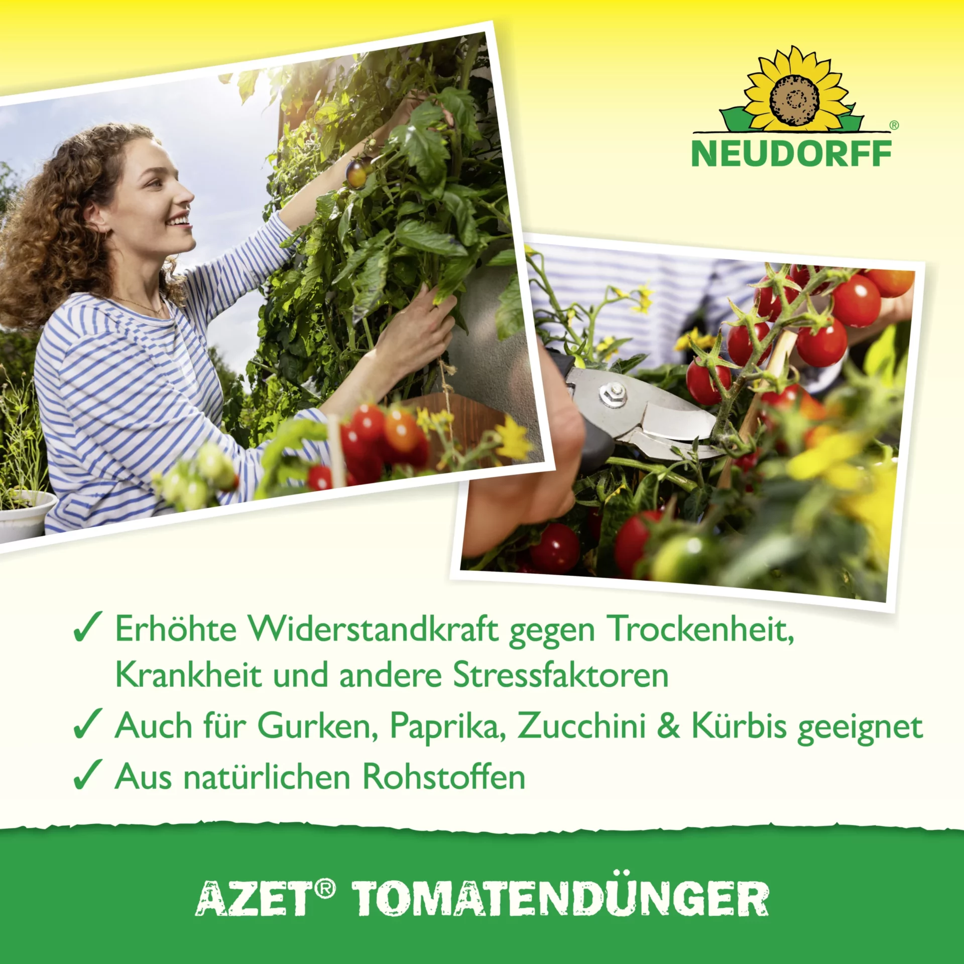 Neudorff Azet Tomaten Dünger - Bild 4