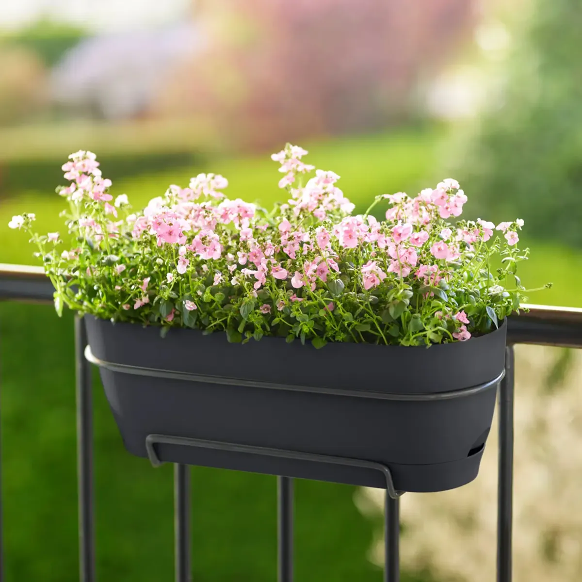 Elho Vibia Campana Balkonkasten 50 cm - Bild 3