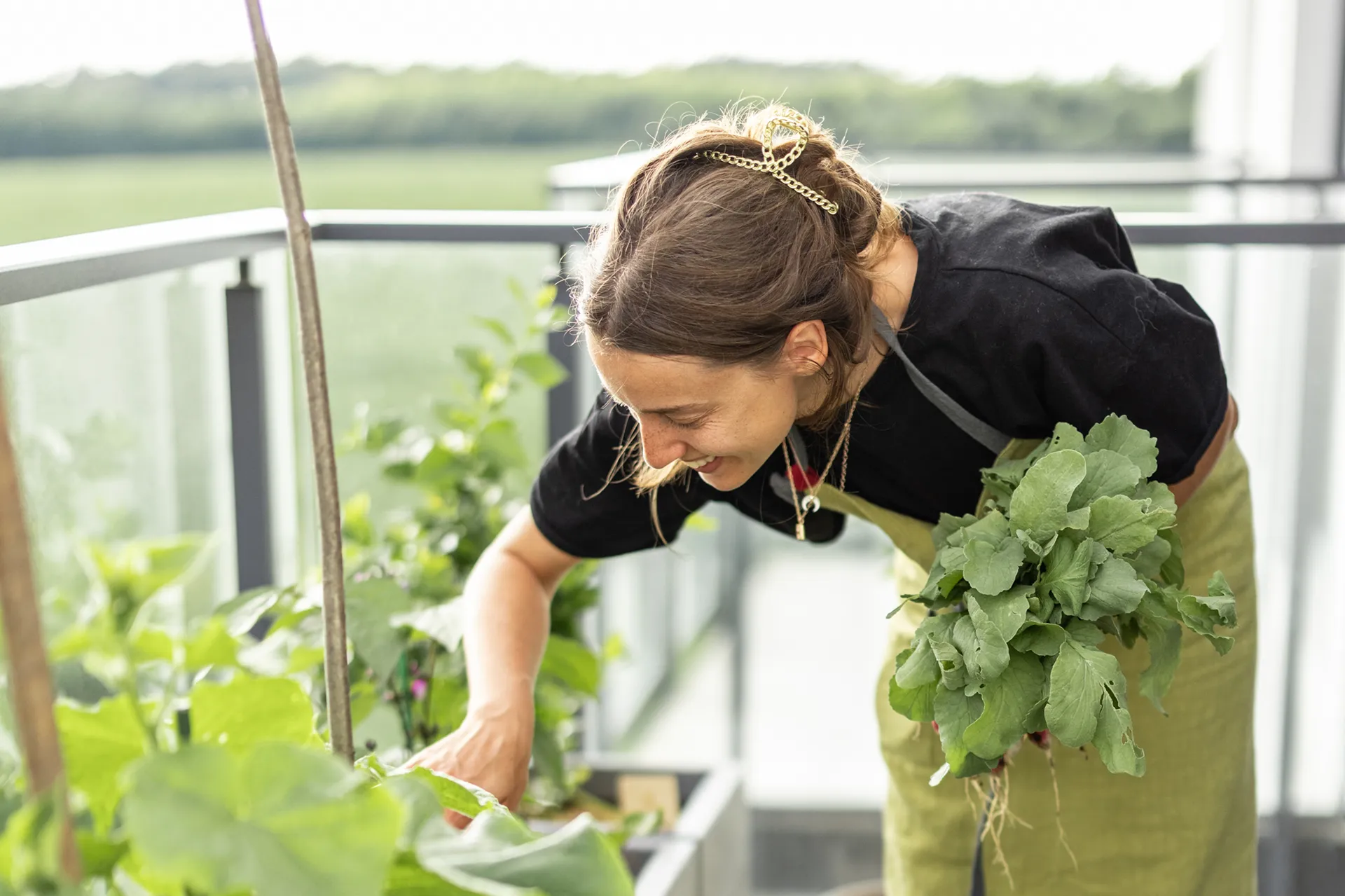 Balkongaertnern mit Hallo Garten_1920x1280px