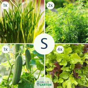 Pflanzen-Set Gartenbowl - Bild 1