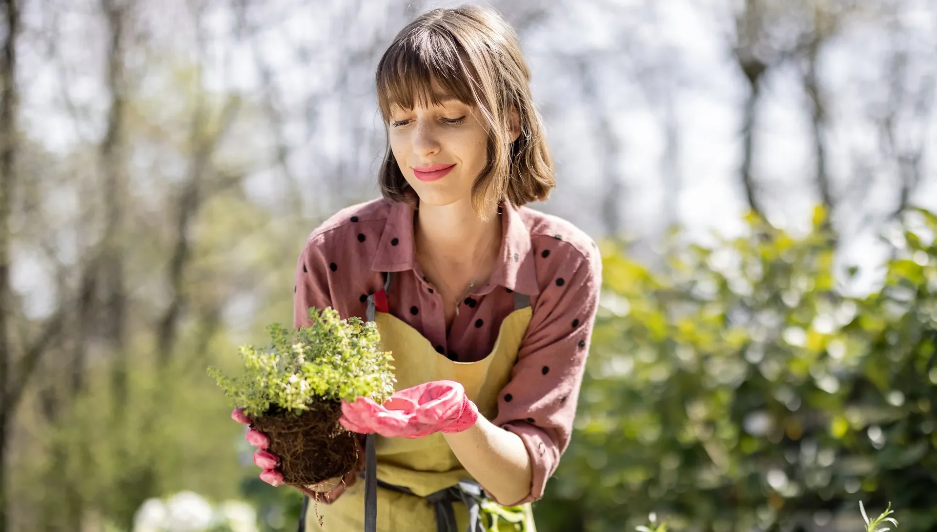 Einfaches Gärtnern mit Hallo Garten