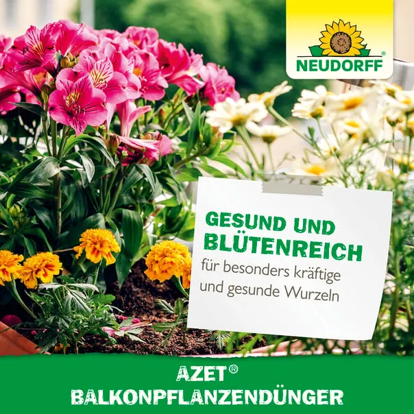 Neudorff Azet BalkonpflanzenDünger 750g - Bild 6