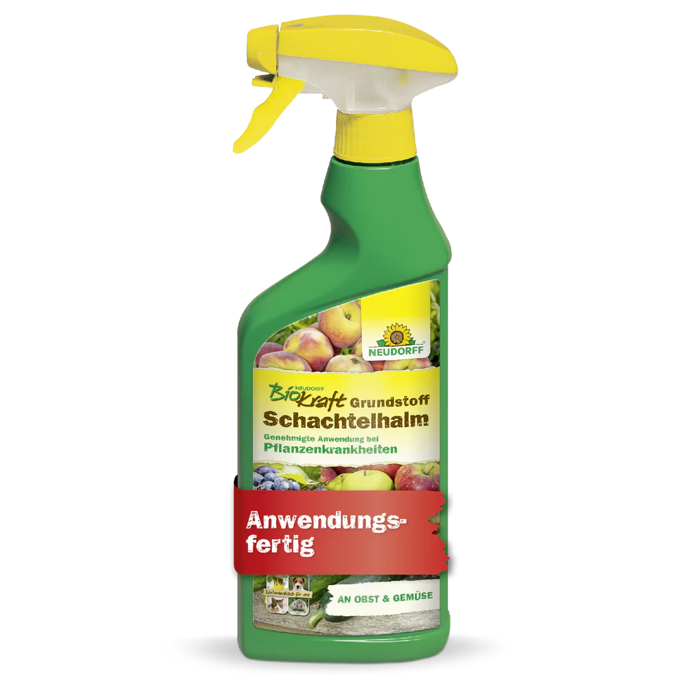 Neudorff BioKraft Grundstoff Schachtelhalm