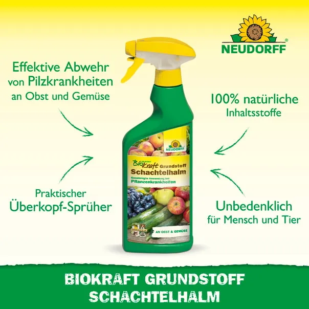 Neudorff BioKraft Grundstoff Schachtelhalm - Bild 2