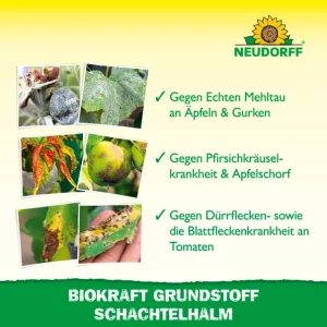 Neudorff BioKraft Grundstoff Schachtelhalm - Bild 4