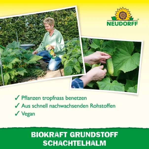 Neudorff BioKraft Grundstoff Schachtelhalm - Bild 5