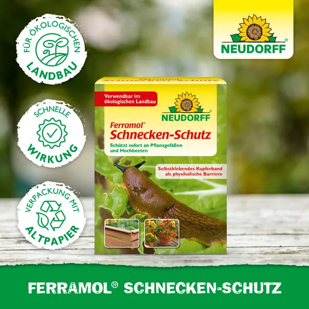 Neudorff Ferramol Schnecken-Schutz - Bild 4