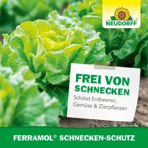 Neudorff Ferramol Schnecken-Schutz - Bild 5