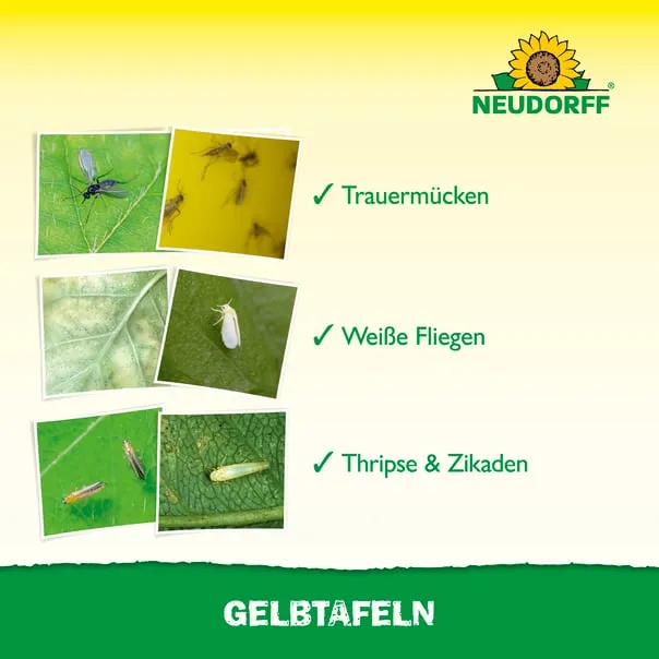 Neudorff Gelbtafeln 7,5x20cm 7 Stk. - Bild 4