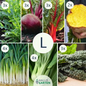 Pflanzen-Set Gemüsevergnügen - Bild 3
