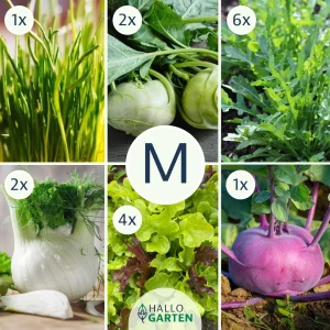 Pflanzen-Set Grüne Bissen - Bild 2