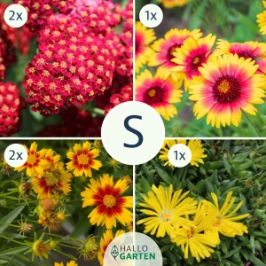 Blumen-Set Sommerfeuer - Bild 1