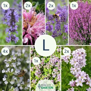 Blumen-Set Toskanische Seele - Bild 3