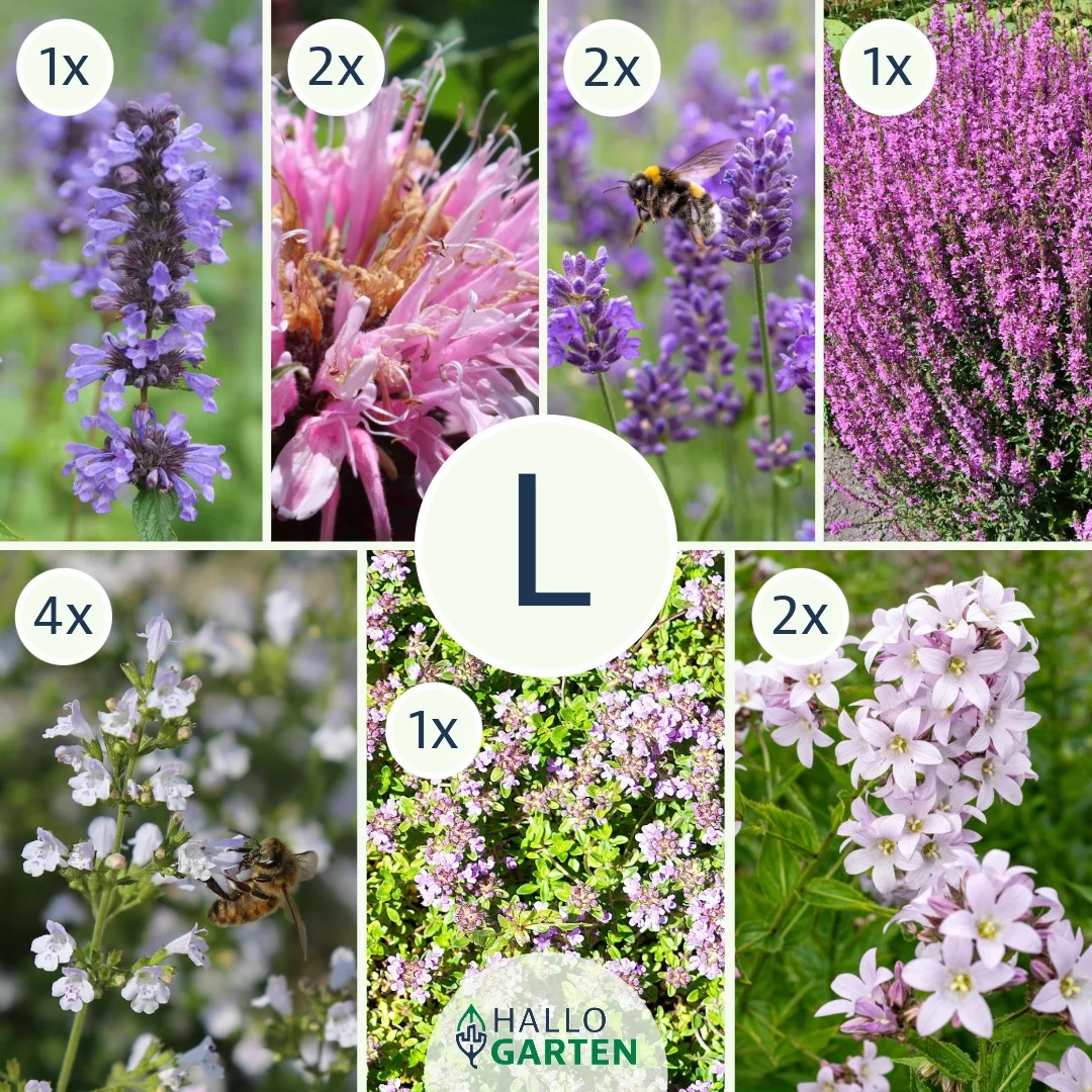 Blumen-Set Toskanische Seele - Bild 3