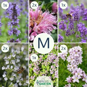 Blumen-Set Toskanische Seele - Bild 2