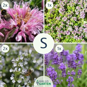 Blumen-Set Toskanische Seele - Bild 1