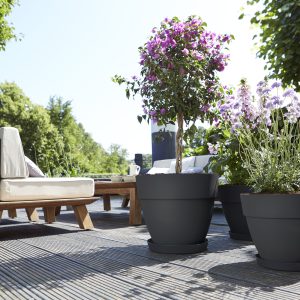 Elho Vibia Campana Pflanztopf rund 47 cm - Bild 4