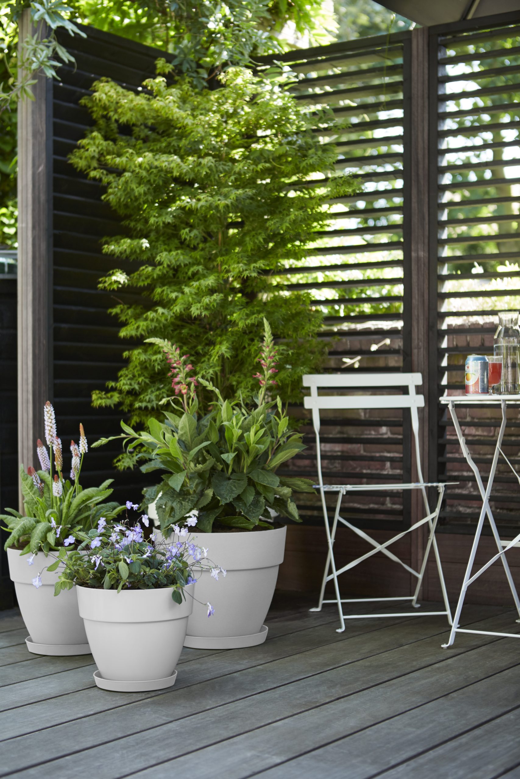 Elho Vibia Campana Pflanztopf rund 30 cm - Bild 4