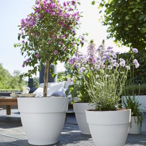 Elho Vibia Campana Pflanztopf rund 47 cm - Bild 3