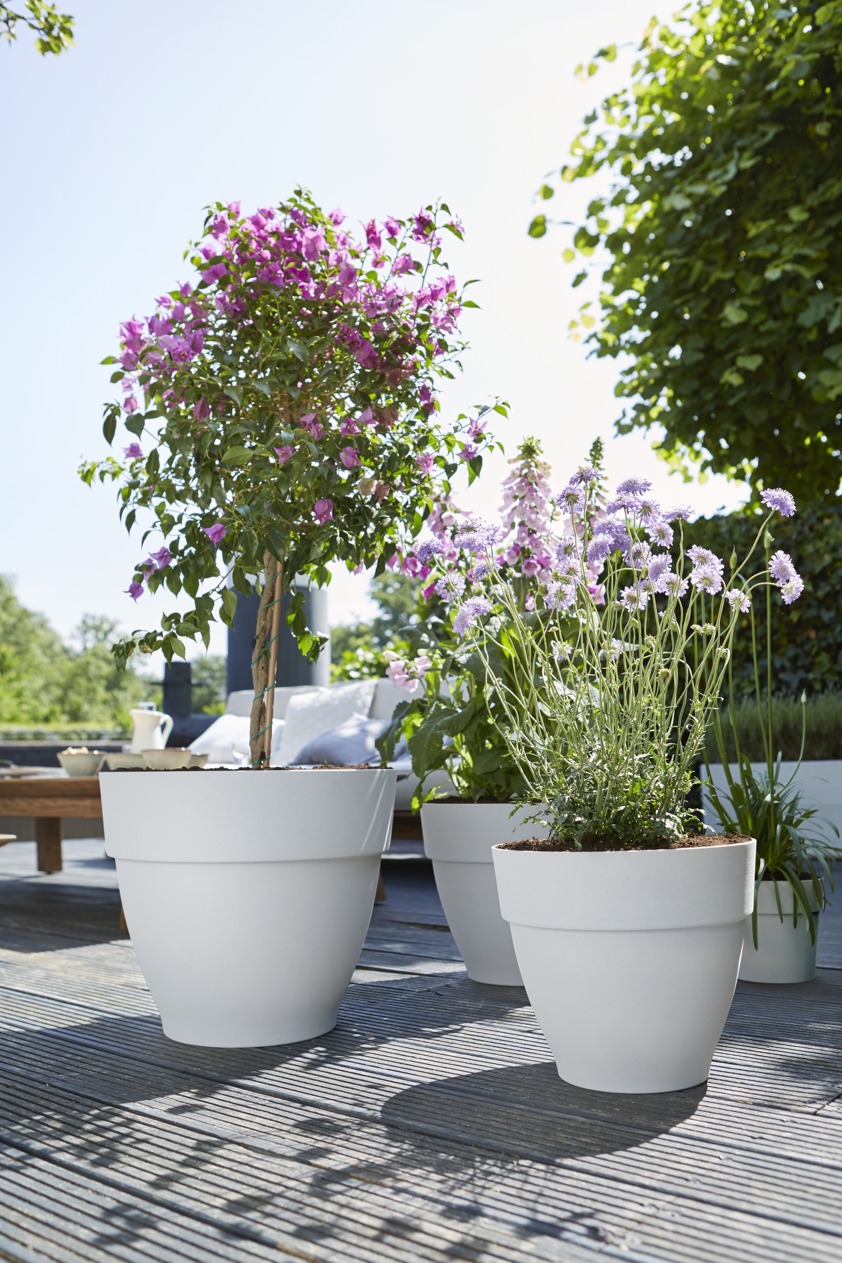 Elho Vibia Campana Pflanztopf rund 47 cm - Bild 3