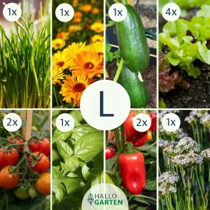 Pflanzen-Set Für die Brotdose - Bild 3