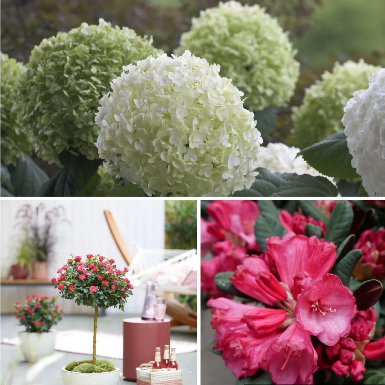 Blumen-Set Blütenensemble Hochzeitsgarten