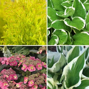 Blumen-Set Elegante Terrassenharmonie