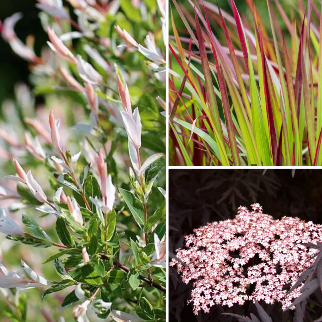 Kontrast und Struktur Set