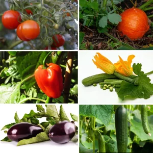 Urban Gardening Deluxe