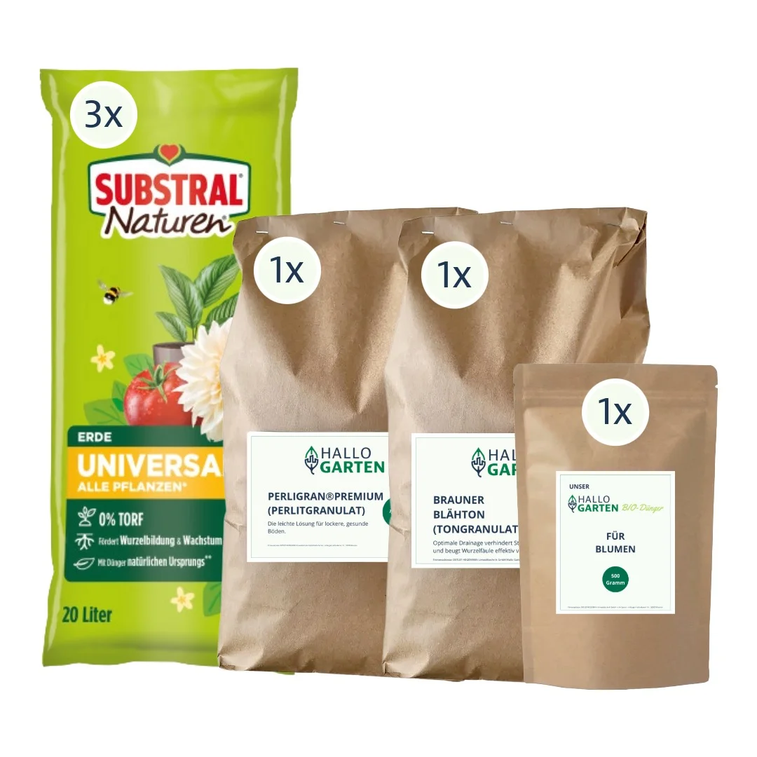 Einpflanz-Paket Blumen - L