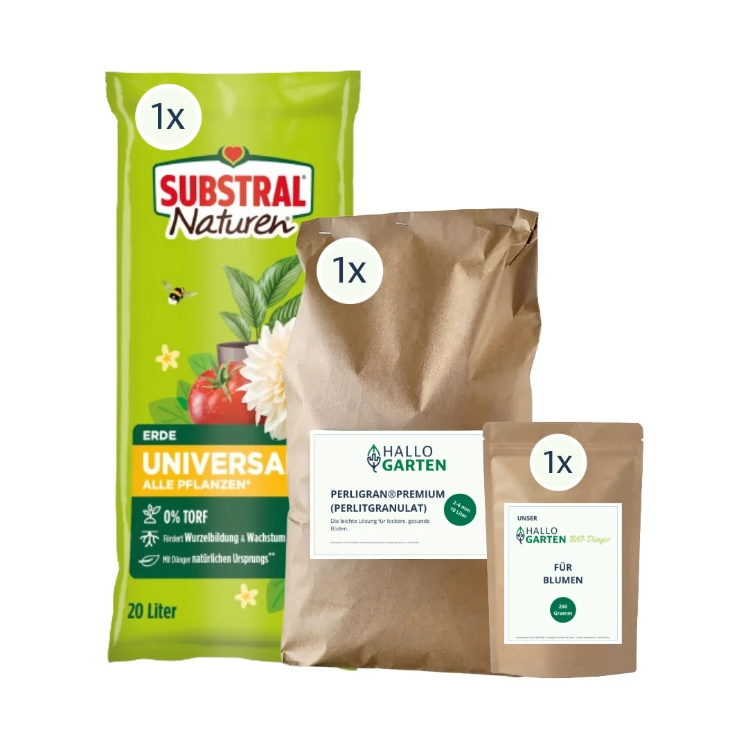 Einpflanz-Paket Blumen - S