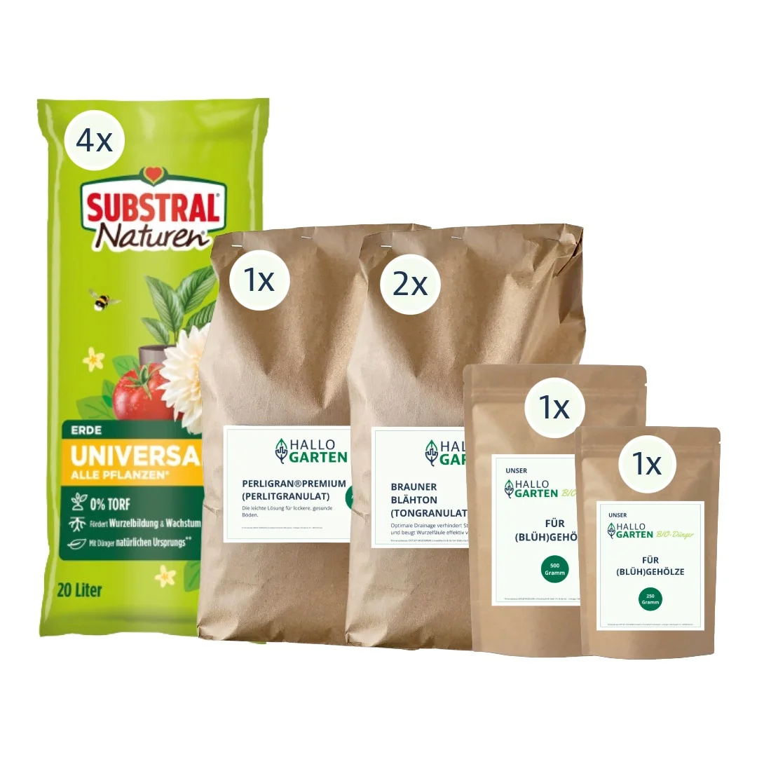 Einpflanz-Paket Ziergehölze 110 L Volumen