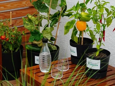 Hallo Garten Kategorie Ready-to-Grow Gaerten_400x300