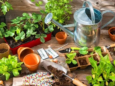 Hallo Garten Kategorie Zubehoer_400x300